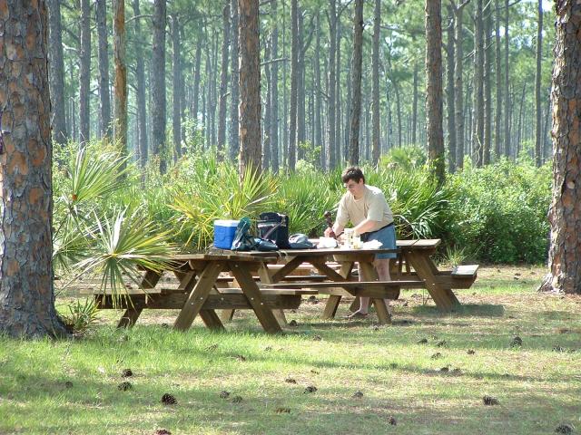 Saterdag, Afrikaners in die bos, wat se groot goeters beplan ons?